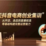 （17544期）5天抖音电商创业集训：从开店、选品到直播投流，零基础构建完整运营能力