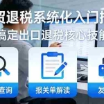 （17601期）外贸退税系统化入门指南：HS编码查询+报关单解读+发票开具，一套课程搞定出口退税核心技能