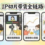 （17640期）IP切片带货全链路（更新）：从起号运营到爆款视频制造，系统掌握IP切片涨粉与变现核心技能
