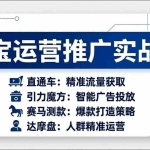 （17660期）淘宝运营推广实战课，直通车+引力魔方+赛马测款+达摩盘人群推广等（更新26年3月）