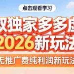 （17701期）拼多多虚拟2026新玩法无推广费纯利润
