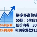 （17698期）拼多多高价铺链接第55期：6阶段实操破解低价内卷，30%-50%利润率爆款打造全攻略