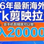 （17778期）26年最新海外Tk剪映拉新，蓝海项目，会手机剪辑就可以做，月入20000＋