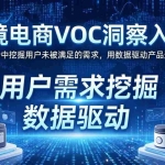（17796期）跨境电商VOC洞察入门：从海量评论中挖掘用户未被满足的需求，用数据驱动产品迭代与增长