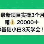 （17856期）最新项目实操3个月，赚钱20000+，0基础小白3天学会！