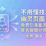 （18014期）不用懂技术！幽灵页面：免费引海量流量，匿名做细分领域头部