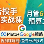 （17925期）广告投手盈利实战课：月管600万预算大神，带你告别瞎烧钱，Meta+Google策略+盈亏分析
