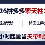 （18128期）2026拼多多擎天柱 3.0-更新4月20：最新起店玩法，标品生鲜全覆盖，2小时起量当天带利润