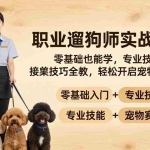 （18115期）职业遛狗师实战教学：零基础也能学，专业技能 + 接单技巧全教，轻松开启宠物赛道副业