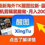 （18112期）26年最新海外Tk醒图拉新，蓝海项目，会手机剪辑就可以做，月入20000＋