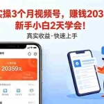 （18086期）个人实操3个月视频号，收入20359元，新手小白2天学会！