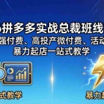 （18224期）2026拼多多实战总裁班线下课，高利润强付费、高投产微付费、活动玩法、暴力起店一站式教学