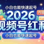 （18222期）2026视频号红利实战营，大佬亲授起号、内容、直播、IP、投流、私域、矩阵全套落地打法