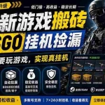 （18182期）最新游戏搬砖，CSGO纯挂机，不需要玩游戏，实现真挂机，月入1W+，五一小高峰上车可吃肉，…
