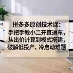 （18159期）拼多多原创技术课：手把手教小二开直通车，从出价计算到模式搭建，破解低投产、冷启动难题