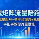 （18156期）全域矩阵流量陪跑课：0基础批量起号+多平台爆流+私域变现，手把手教你流量暴涨