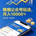 （18283期）精细公众号玩法，月入10000+，实操指南，快速变现