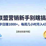 （18278期）联盟营销新手别瞎搞！四步日赚 1000+，每周几小时月入 4 万？【原创双语字幕】
