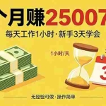 （18325期）3个月赚钱25007元，每天工作1个小时，新手3天全部学会！