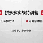 （18309期）拼多多实战特训营(更新5月3)：不管是新手入门或老商家冲量，都有实操方法，跟着学，少走弯路