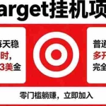 （18305期）海外平台Target，正规运营商合作、技术兜底长期稳定、防风控、任务不断档、收益透明、灵活提…