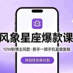 （18378期）10W粉博主同款：风象星座爆款课，新手一部手机直接复制，冲创作伙伴计划