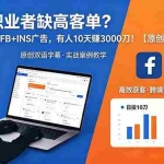（18489期）自由职业者缺高客单？日投 10 刀搞 FB+INS 广告，有人 10 天赚 3000 刀！【原创双语字幕】