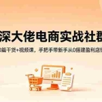 （18529期）资深大佬电商实战社群：30篇干货+视频课，手把手带新手从0搭建盈利店铺