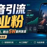 （18583期）抖音引流创业粉推广AI工具，一个月跑出5W案例复盘，从0拆解完整流程