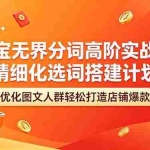 （18564期）淘宝无界分词高阶实战课 精细化选词搭建计划 优化图文人群轻松打造店铺爆款