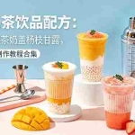 （18557期）网红奶茶饮品配方：台式港式果茶奶盖杨枝甘露，完整资料包制作教程合集
