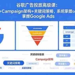 （18588期）谷歌广告投放高级课：营销漏斗+Campaign架构+关键词策略，系统掌握Google Ads