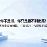 （18743期）付费文章：你不是懒，你只是看不到出路！两万字深度拆解，打破学习工作赚钱死循环