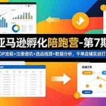 （18752期）亚马逊孵化陪跑营-第7期：SOP流程+注册避坑+选品梳理+数据分析，千单店铺实战打法
