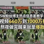 （18803期）25W粉丝博主热点信息差教学：单条视频660万到1000万播放，熬夜做完醒来就是爆款