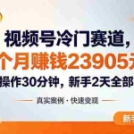 （18799期）视频号冷门赛道，3个月变现23905元，新手2天学会 每天操作30分钟！