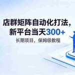 （18793期）店群矩阵自动化打法，新平台当天300+，长期项目，保姆级教程