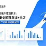 （18921期）拼多多60期直通车原创技术：极速起量+计划矩阵群爆+全店托管，投产不稳的终极解法