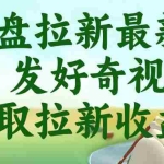 （18917期）网盘拉新最新玩法，发好奇视频获取拉新收益