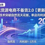 （18912期）2026无货源电商不备货2.0【更新-6月】：超低费比技术突破自然流天花板，单店月利润1-3万元