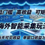 （18955期）海外智能采集玩法，低门槛高单价可矩阵，当天可见收益，单窗口30+