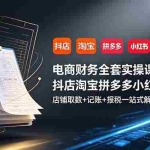 （19001期）电商财务全套实操课：抖店淘宝拼多多小红书，店铺取数+记账+报税一站式解决
