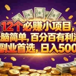 （18976期）12个必赚的小项目，百分百赚元子，无脑简单，副业首选，日入500+
