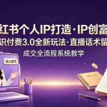 （19069期）小红书个人IP打造创富营，知识付费3.0全新玩法，直播话术留人成交全流程系统教学