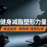 （19062期）抖音健身热门短视频教学：居家健身减脂塑形力量训练，精选独家，接商单或者健身私域