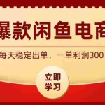（19046期）爆款闲鱼电商，卖法简单粗暴，长期稳定可做，一单利润300