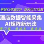 （19041期）2026酒店数据采集ai智能矩阵新风口  低成本   高收益   当天见收益   单窗口20+