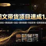 （19154期）图文带货项目速成1.0：账号定位+赛道选择+选品+素材拍摄+内容发布+豆荚投放全流程