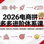 （19206期）2026电商拼多多进阶体系课，开店避坑，链接上架，内功优化，自然流矩阵｜直通车付费｜全套实操教学