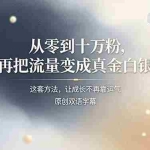 （19198期）从零到十万粉，再把流量变成真金白银——这套方法，让成长不再靠运气【原创双语字幕】